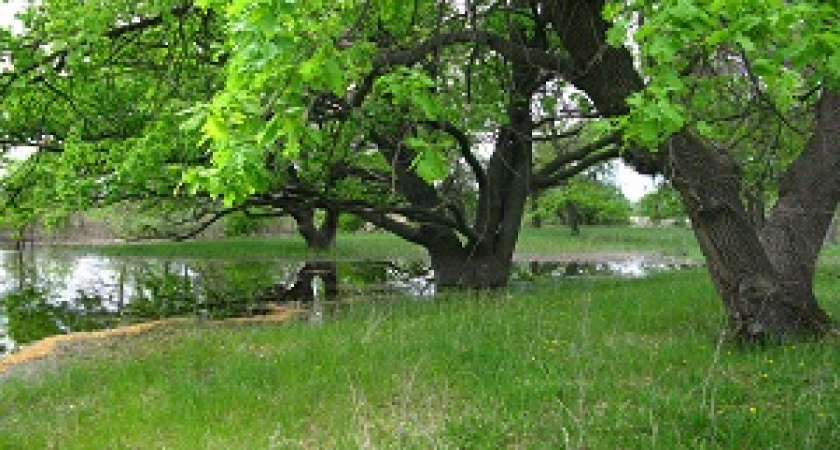 «Волго-Ахтубинская пойма» открывает туристический сезон