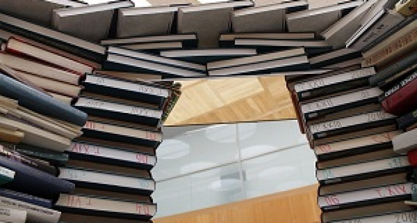 В выходные в Волгограде пройдет «Библионочь»