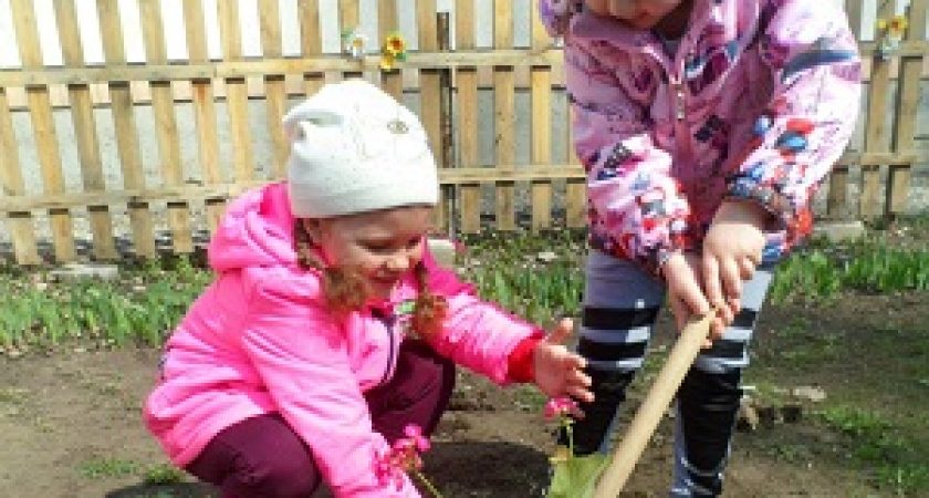 Фроловский детский сад стал победителем всероссийского конкурса