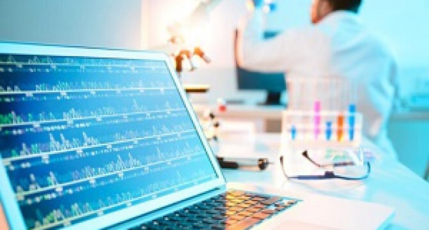 В Волгоградской области взялись за «Электронное здравоохранение»