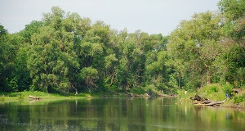 Волгоградцам ограничат пребывание в лесах