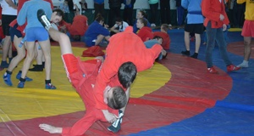 Волгоградские самбисты выступят в турнире «Победа»