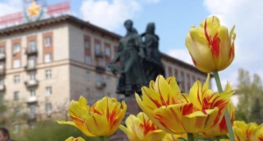 На праздники Волгоград украсили 30 тысяч цветов