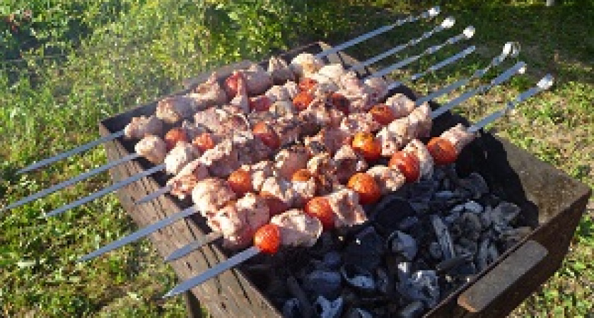 На время ЧМ-2018 запретят жарить шашлыки