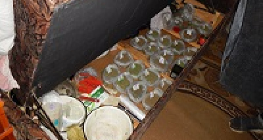 В Волгограде пресечен канал поставки наркотиков в военную часть