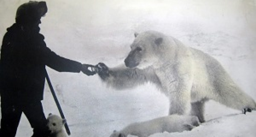 Сегодня – День полярника