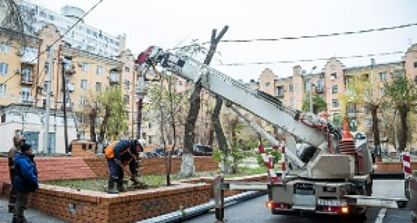 В Волгограде определили список дворов, которых ждет благоустройство