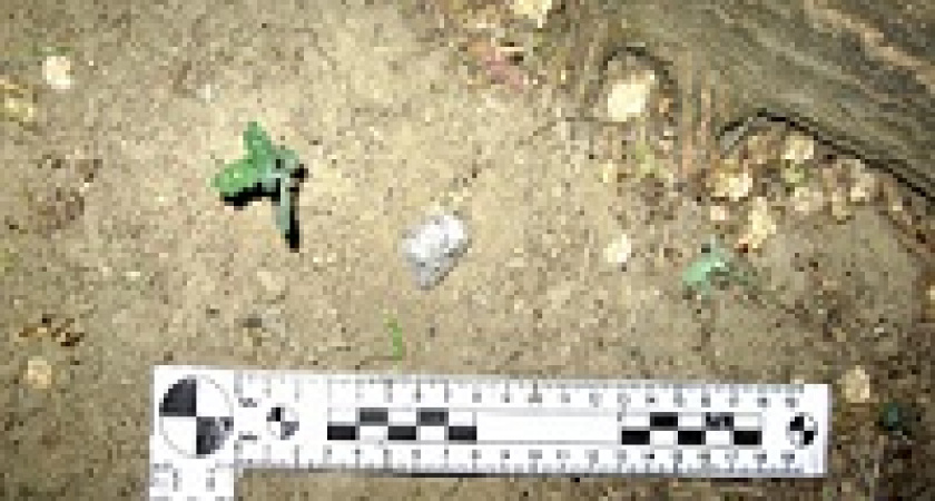 В Волгограде задержан наркосбытчик