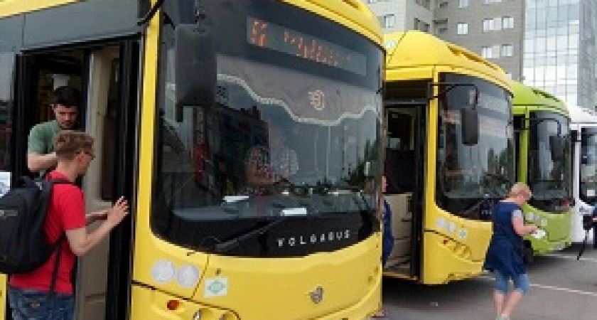 Во время ЧМ-2018 в Волгограде будет ходить круглосуточный транспорт