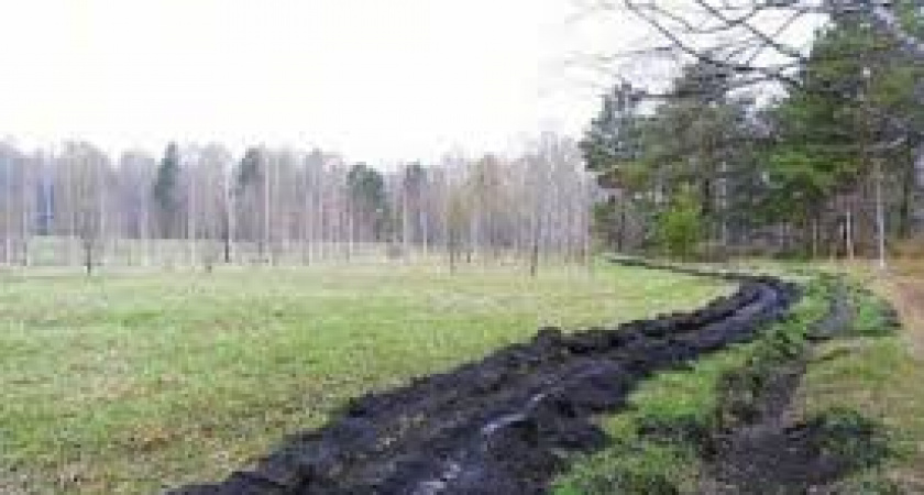 Специалисты предупреждают об угрозе лесных пожаров