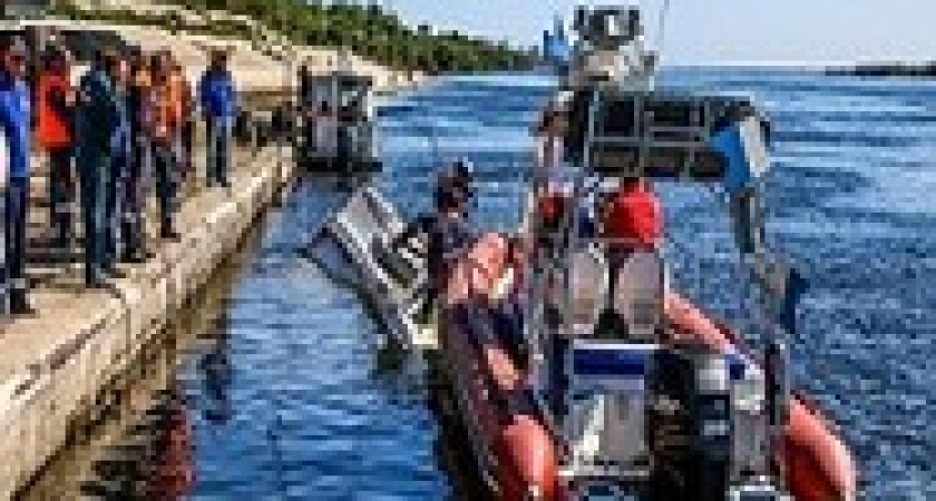 Затонувший катамаран: новые обстоятельства