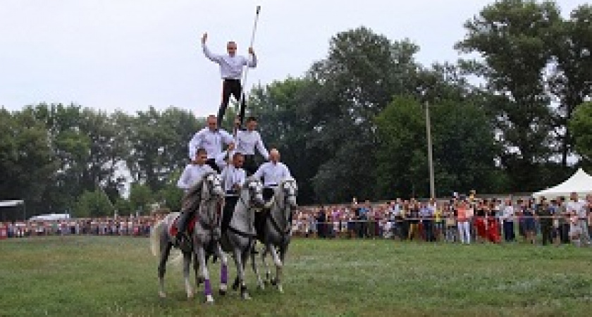 Под Волгоградом пройдет казачий фестиваль
