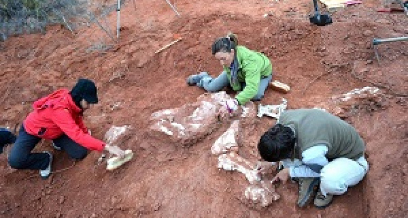 Найдены останки самых древних динозавров на Земле