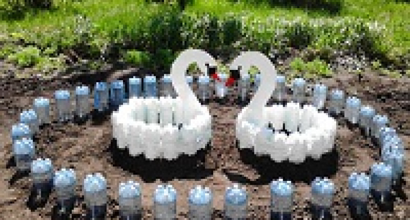 В Волгограде проходит конкурс «Марш клумб»