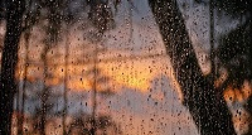 В Волгоградской области введен режим ЧС