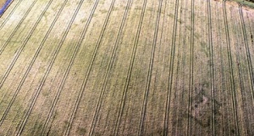 Ученые обнаружили новый Стоунхендж