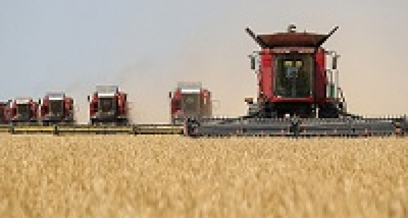 В Волгоградской области собрали уже более 1,8 млн тонн зерна
