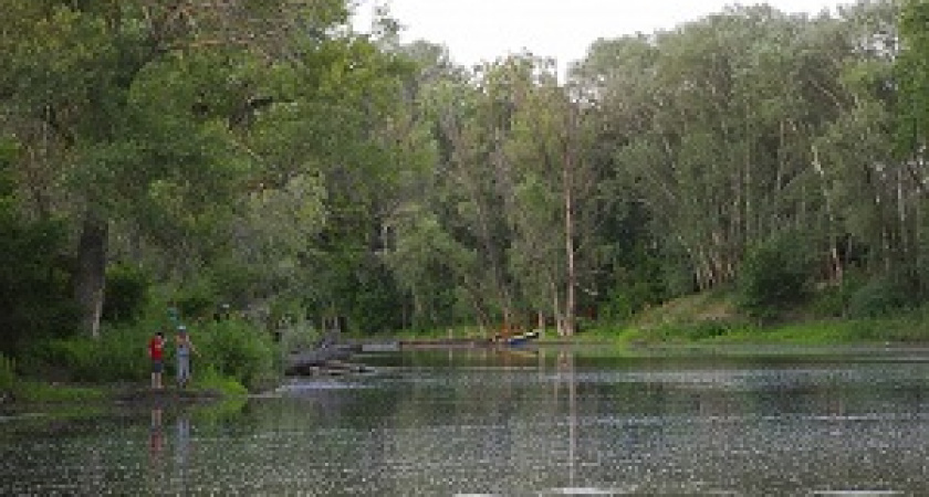 По региону проводятся противопожарные рейды