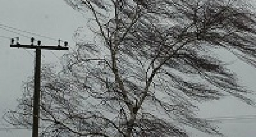 В Волгограде объявлено штормовое предупреждение