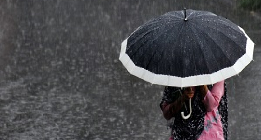 Сегодня – Всемирный день китов и дельфинов