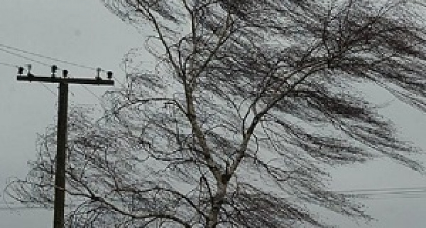 Волгоград в ближайшие часы накроет ливнем