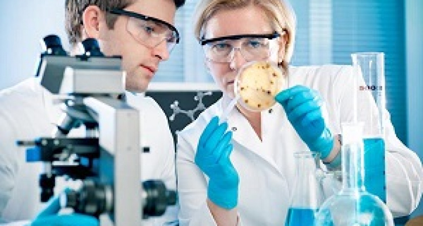 Ученые нашли необычную альтернативу пластику