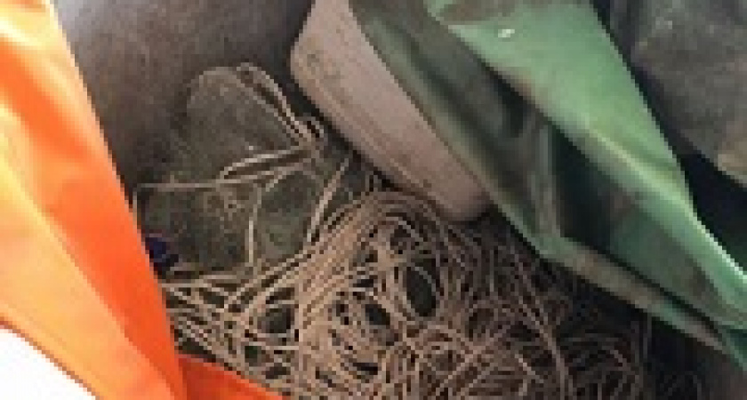 Под Волгоградом задержали рыбаков-браконьеров