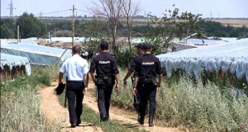 В Городищенском районе полицейские выявили работающих без документов иностранцев