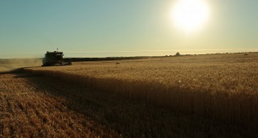 Волгоградские аграрии закупили более 500 единиц техники