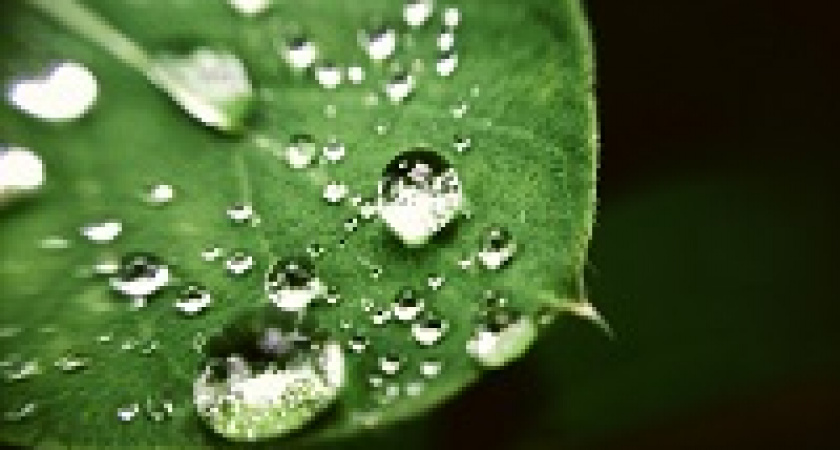 Волгоградцев пугают очередным дождем в выходные