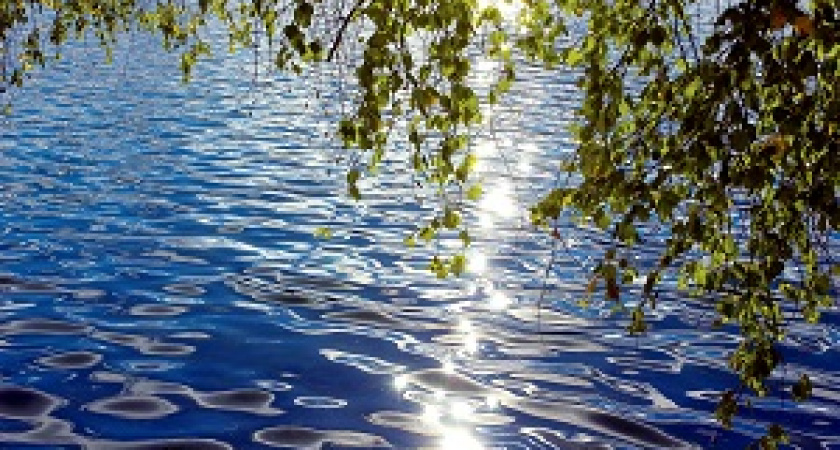 Во Фролово школьники обнаружили в реке Арчеда тело младенца