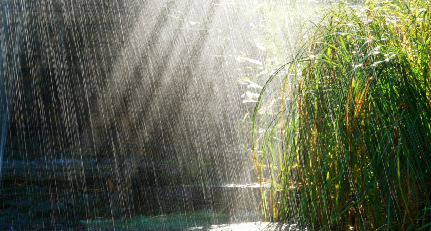 В Волгограде рабочая неделя начнется с дождей