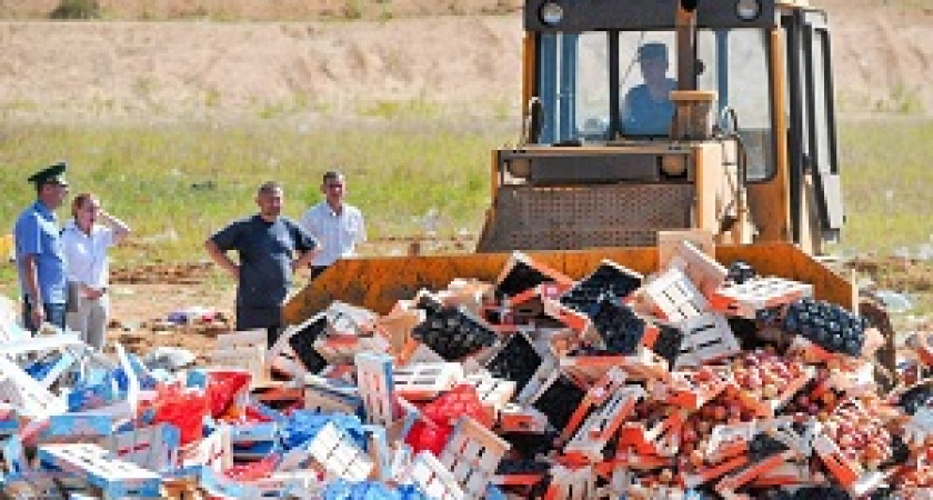 В Россельхознадзоре назвали объёмы уничтоженной за три года санкционной продукции