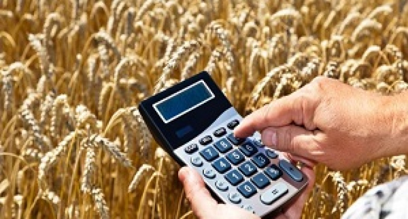 Аграриям предложили выделить 5 миллиардов на субсидии