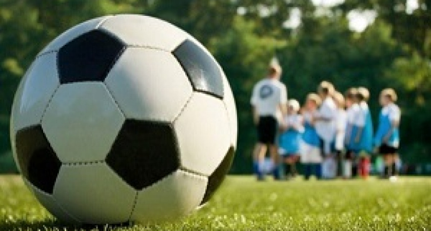 В Волгограде День физкультурника отметят турнирами и фестивалем рок-музыки