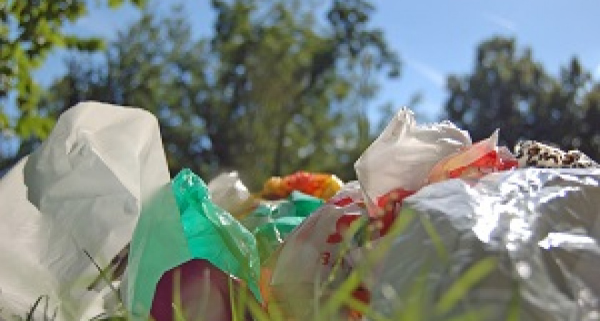 Крупнейшие ретейлеры могут отказаться от пластиковых пакетов