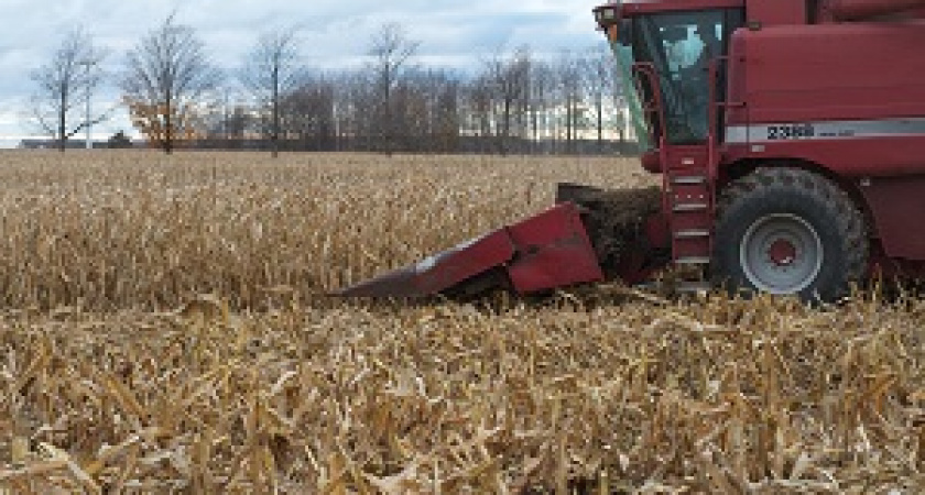 Аграрии региона собрали 3 млн тонн зерновых