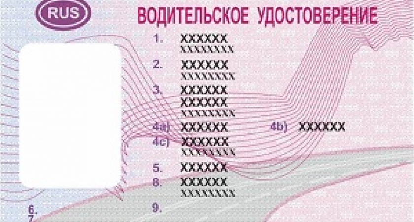 Полицейские продавали водительские удостоверения