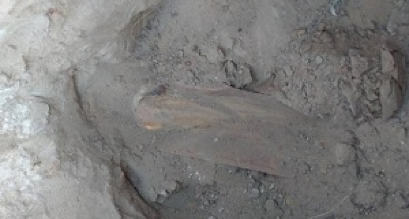 В Городищенском районе обнаружена авиабомба времён ВОВ