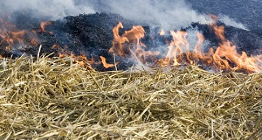 МЧС региона предупреждает о чрезвычайной пожароопасности