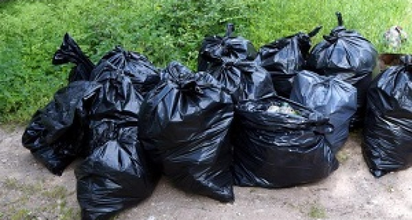 Волгоградцев приглашают найти "артефакты" в куче мусора 