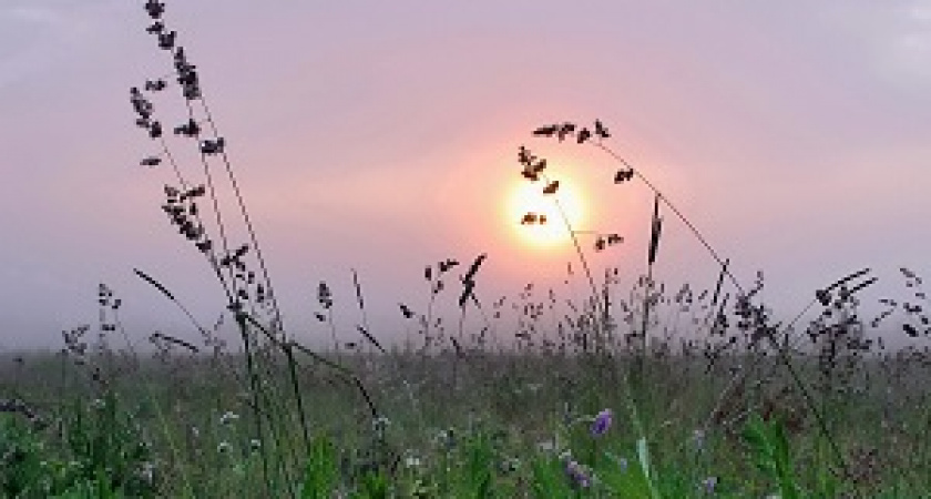 К концу недели в Волгограде похолодает