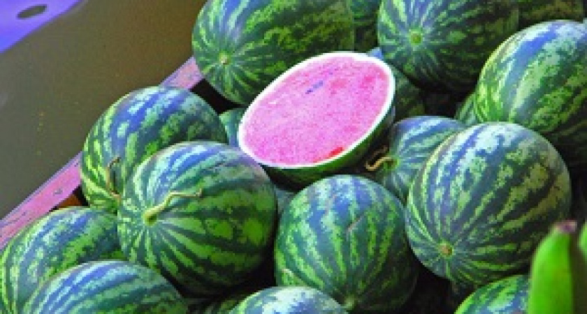 В Волгограде пройдет день арбуза