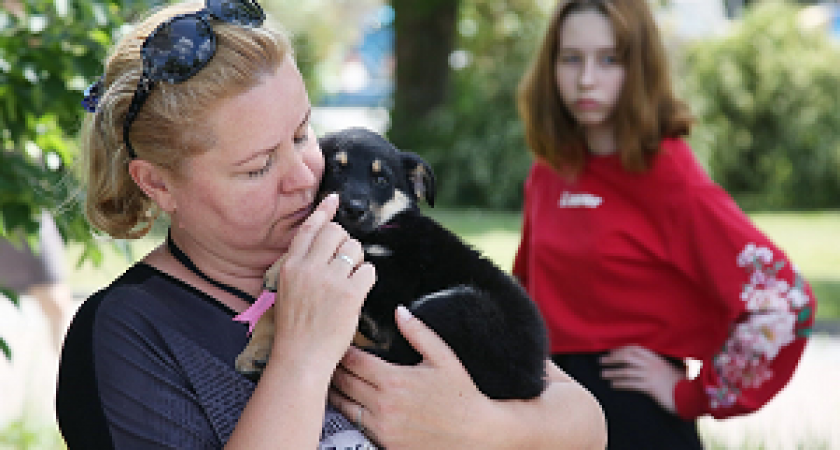Муниципалитет предоставит гранты волгоградским зоозащитникам 