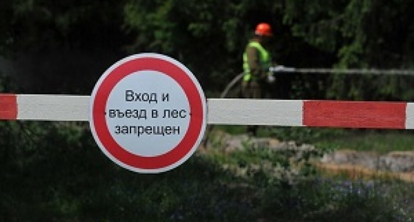 Запрет на посещение лесов продлили и в сентябре