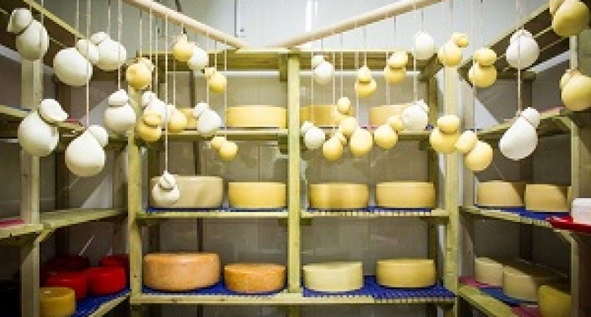 Волгоградцев приглашают в эногастрономический тур