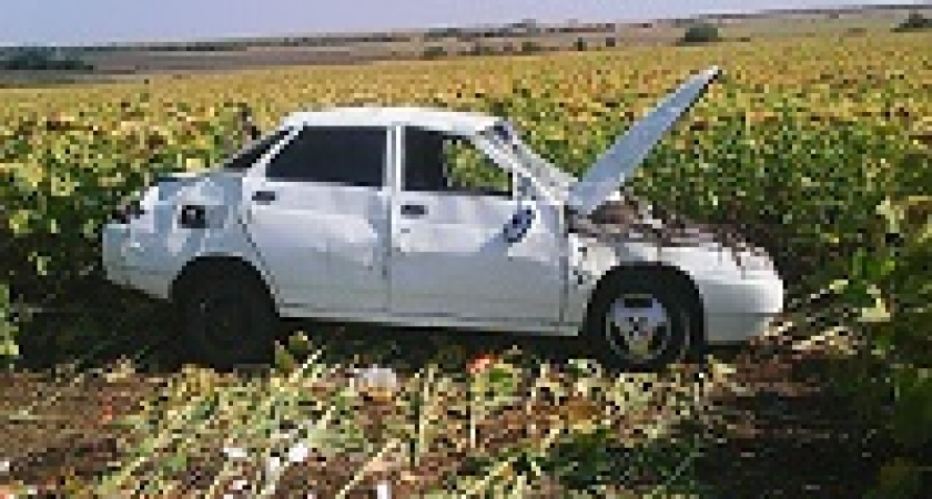 Под Волгоградом «десятка» перевернулась в подсолнечном поле