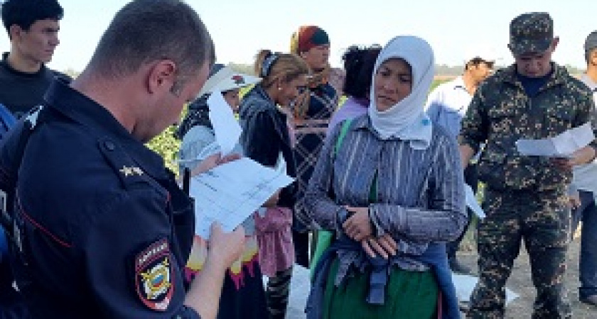 В Быковском районе собирали урожай 33 нелегала