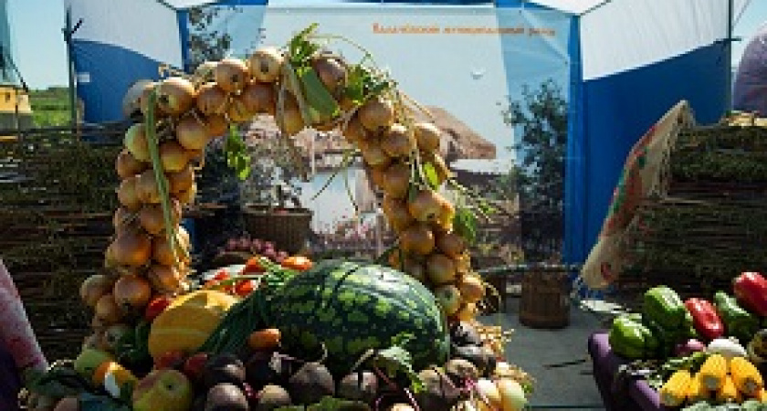В Волгограде состоится ярмарка «Дары земли волгоградской»