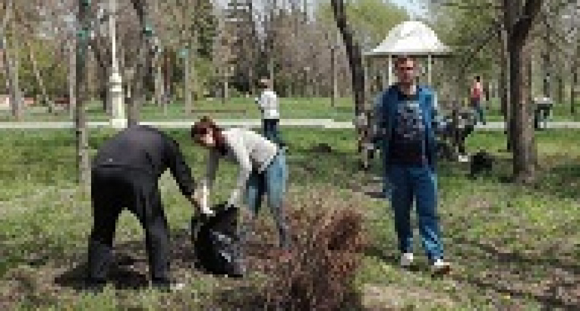 Волгоградцев приглашают на всероссийский субботник